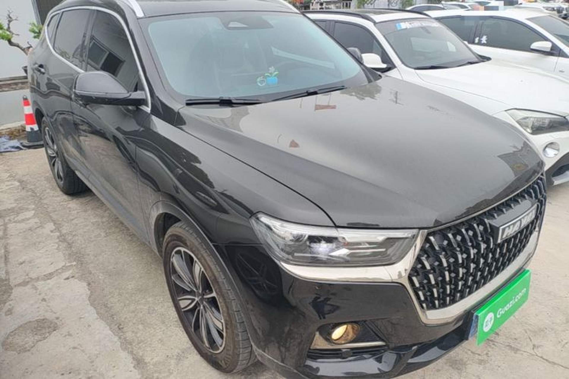 Used Haval H6 2023 National Trend Edition 1.5T Automatic Champion Version Exterior 1