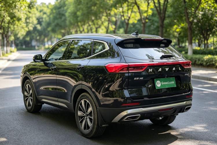 Used Haval H6 2023 National Trend Edition 1.5T Automatic Champion Version Exterior 2