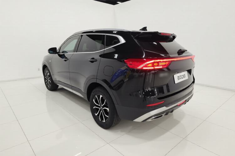 Used Haval H6 2023 National Trend Edition 1.5T Automatic Urban Version Exterior 2