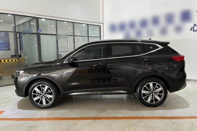 Used Haval H6 2023 National Trend Edition 1.5T Automatic Champion Version Exterior 3