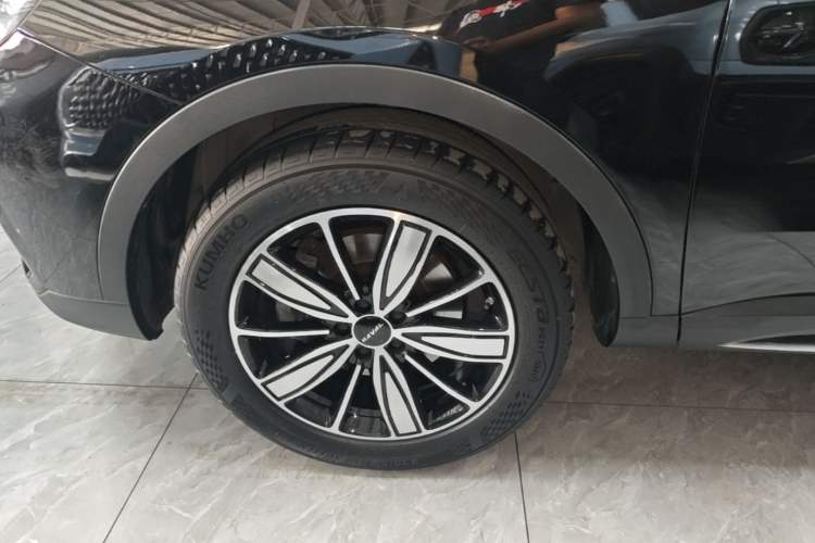 Used Haval H6 2023 National Trend Edition 1.5T Automatic Champion Version Exterior 4