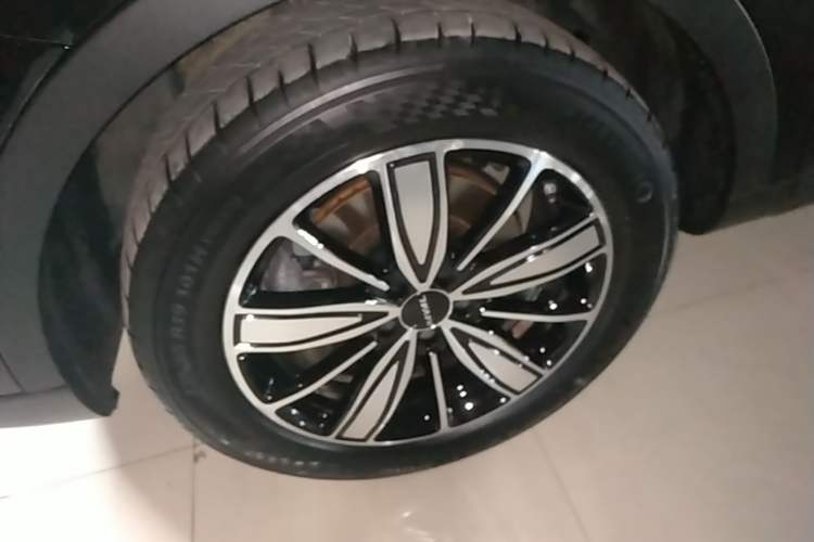 Used Haval H6 2023 National Trend Edition 1.5T Automatic Champion Version Exterior 4