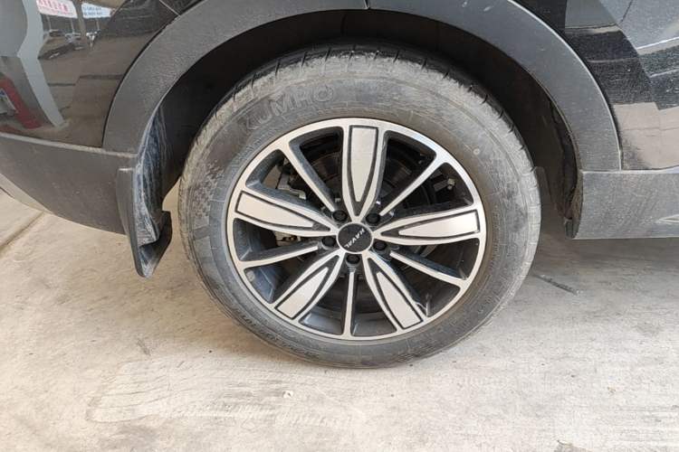 Used Haval H6 2023 National Trend Edition 1.5T Automatic Champion Version Exterior 5