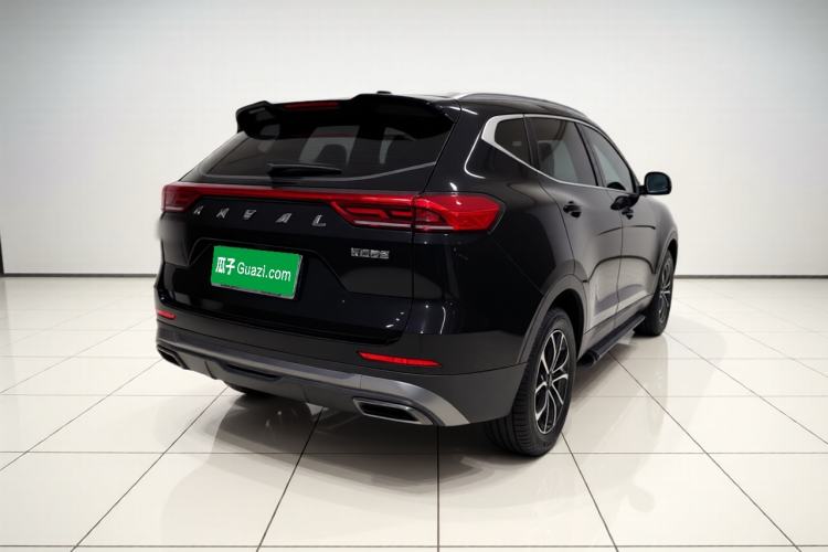 Used Haval H6 2023 National Trend Edition 1.5T Automatic Urban Version Exterior 5