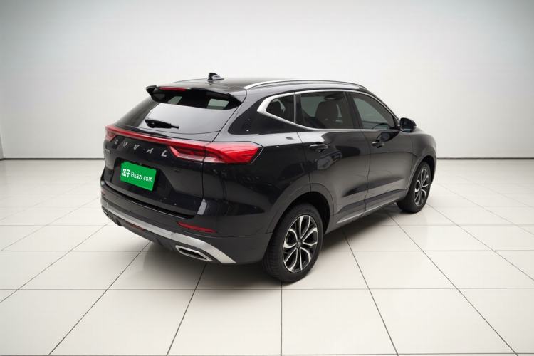Used Haval H6 2023 National Trend Edition 1.5T Automatic Urban Version Exterior 5