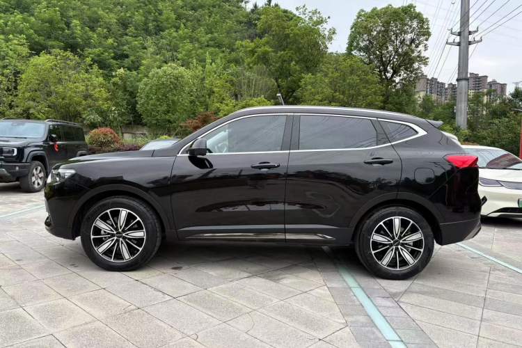 Used Haval H6 2023 National Trend Edition 1.5T Automatic Champion Version Exterior 6