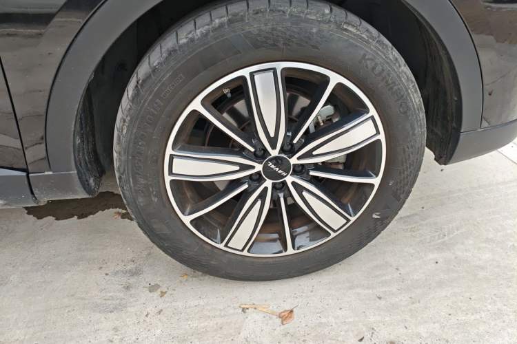 Used Haval H6 2023 National Trend Edition 1.5T Automatic Champion Version Exterior 7