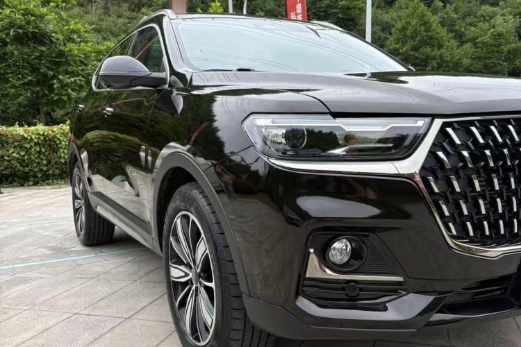 Used Haval H6 2023 National Trend Edition 1.5T Automatic Champion Version Exterior 7