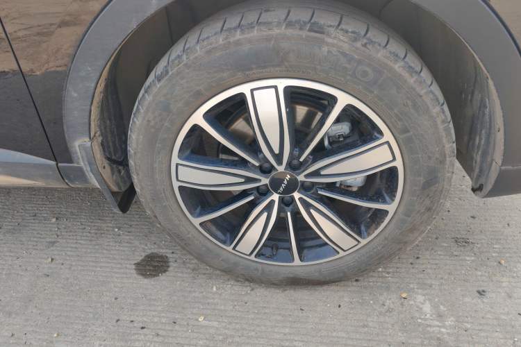 Used Haval H6 2023 National Trend Edition 1.5T Automatic Champion Version Exterior 7