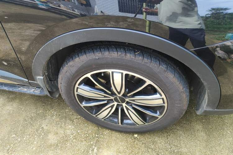 Used Haval H6 2023 National Trend Edition 1.5T Automatic Champion Version Exterior 7