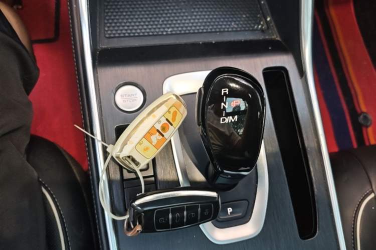 Used Haval H6 2023 National Trend Edition 1.5T Automatic Champion Version Gear Lever