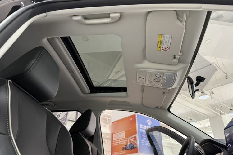 Used Haval H6 2023 National Trend Edition 1.5T Automatic Urban Version Headliner