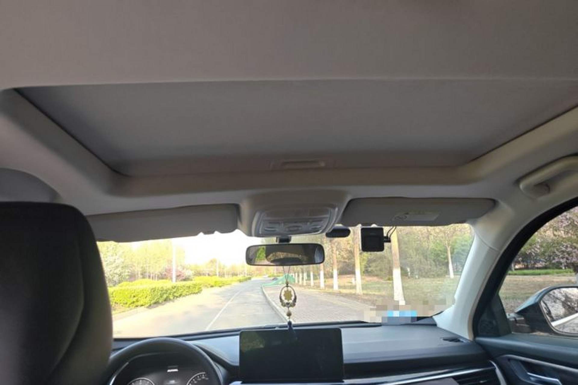 Used Haval H6 2023 National Trend Edition 1.5T Automatic Urban Version Headliner