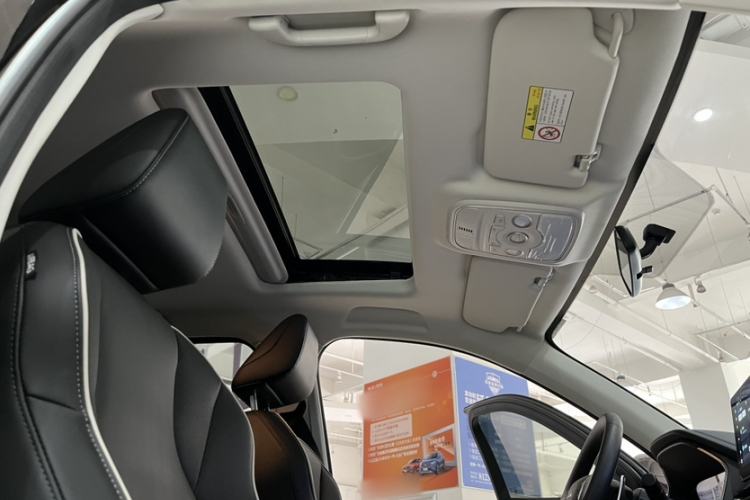 Used Haval H6 2023 National Trend Edition 1.5T Automatic Urban Version Headliner