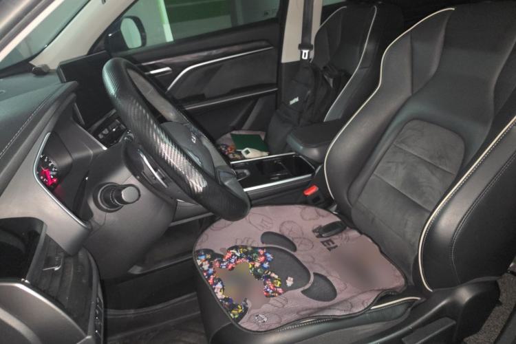 Used Haval H6 2023 National Trend Edition 1.5T Automatic Urban Version Left Front Seat