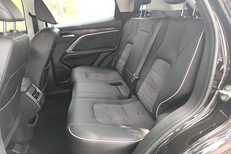 Used Haval H6 2023 National Trend Edition 1.5T Automatic Urban Version Left Rear Seat