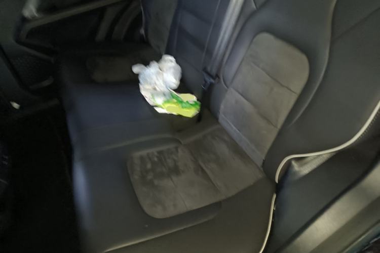 Used Haval H6 2023 National Trend Edition 1.5T Automatic Urban Version Left Rear Seat