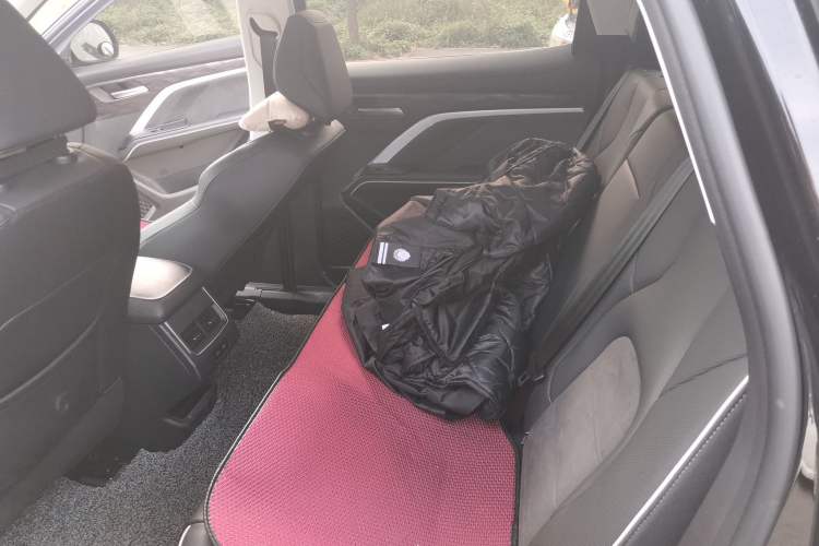 Used Haval H6 2023 National Trend Edition 1.5T Automatic Urban Version Left Rear Seat