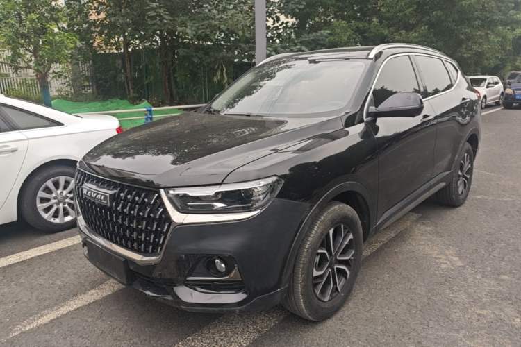 Haval H6 2023 National Trend Edition 1.5T Automatic Urban Version