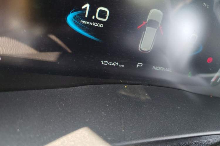 Used Haval H6 2023 National Trend Edition 1.5T Automatic Champion Version Odometer Close Up