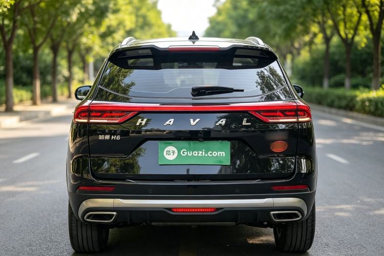 Used Haval H6 2023 National Trend Edition 1.5T Automatic Champion Version Rear