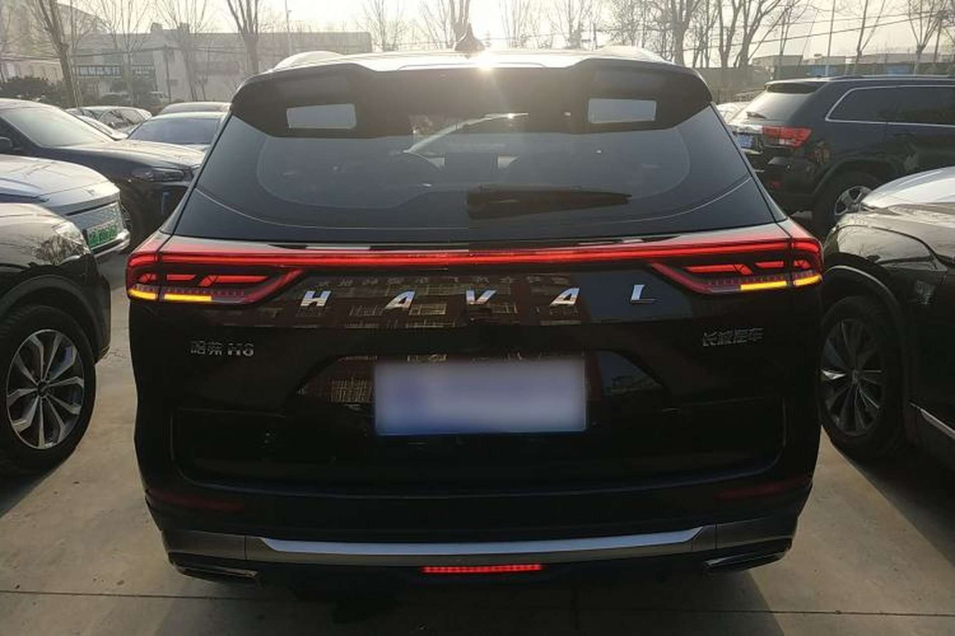 Used Haval H6 2023 National Trend Edition 1.5T Automatic Champion Version Rear