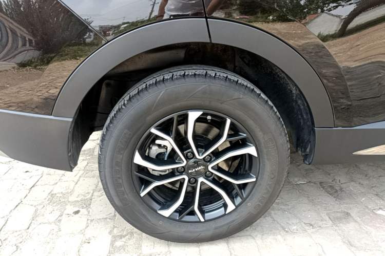 Used Haval H6 2023 National Trend Edition 1.5T Automatic Urban Version Right Rear Wheel Hub
