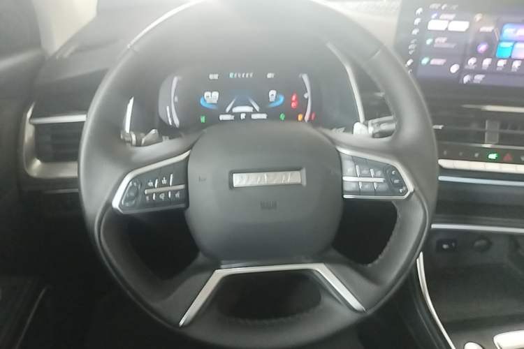 Used Haval H6 2023 National Trend Edition 1.5T Automatic Champion Version Steering Wheel