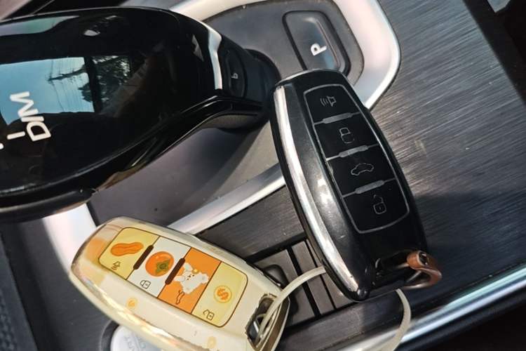 Used Haval H6 2023 National Trend Edition 1.5T Automatic Champion Version Vehicle Key