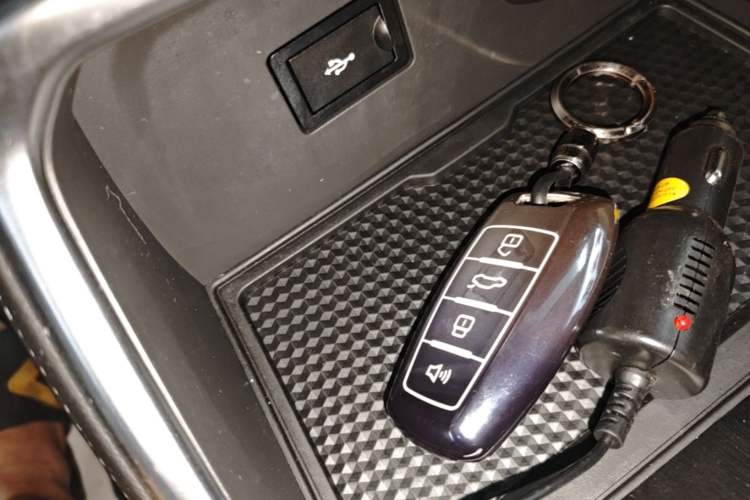 Used Haval H6 2023 National Trend Edition 1.5T Automatic Urban Version Vehicle Key
