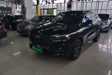 Used Haval H6 2023 National Trend Edition 1.5T Automatic Urban Version