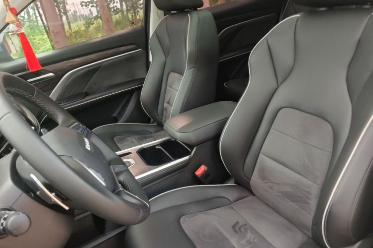 Used Haval H6 2023 National Trend Edition 1.5T Automatic Champion Version Left Front Seat