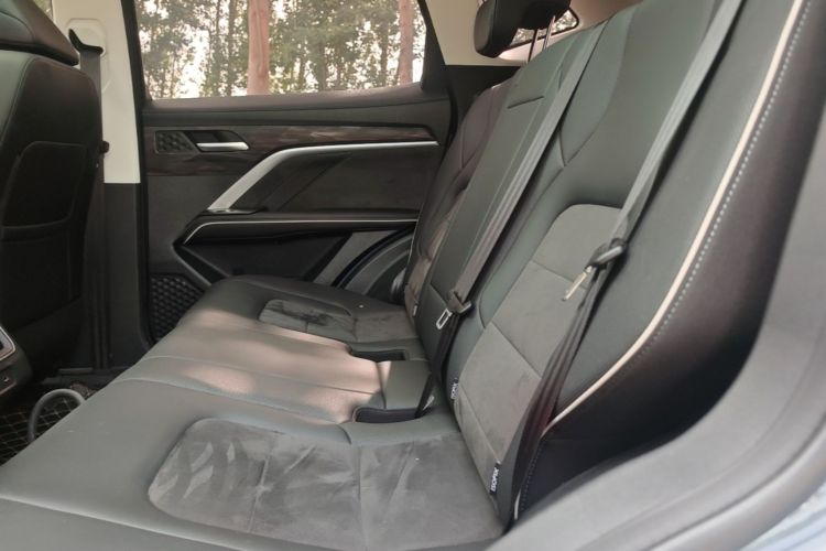 Used Haval H6 2023 National Trend Edition 1.5T Automatic Champion Version Left Rear Seat