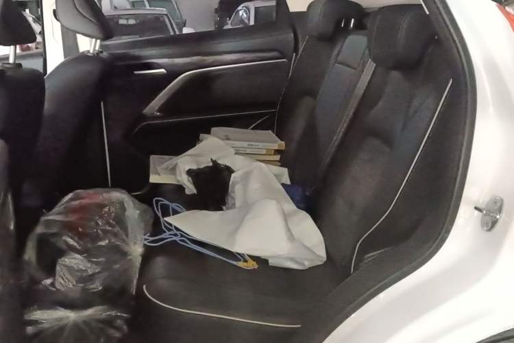 Used Haval H6 2023 National Trend Edition 1.5T Automatic Urban Version Left Rear Seat
