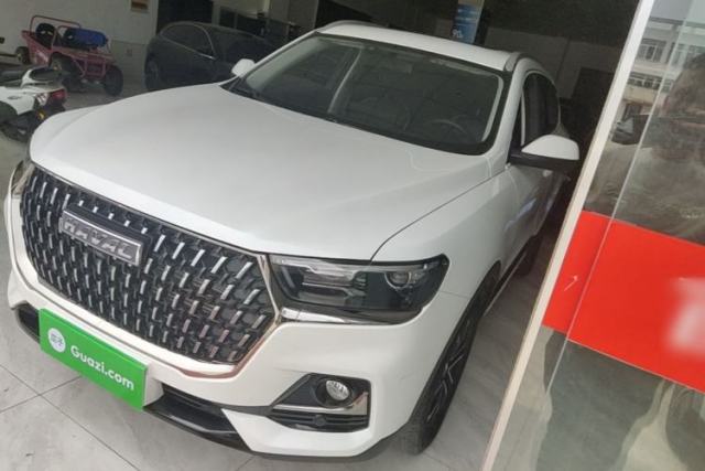 Used Haval H6 2023 National Trend Edition 1.5T Automatic Urban Version