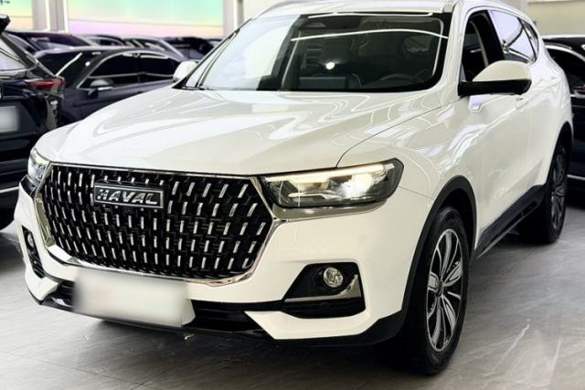 Used Haval H6 2023 National Trend Edition 1.5T Automatic Champion Version