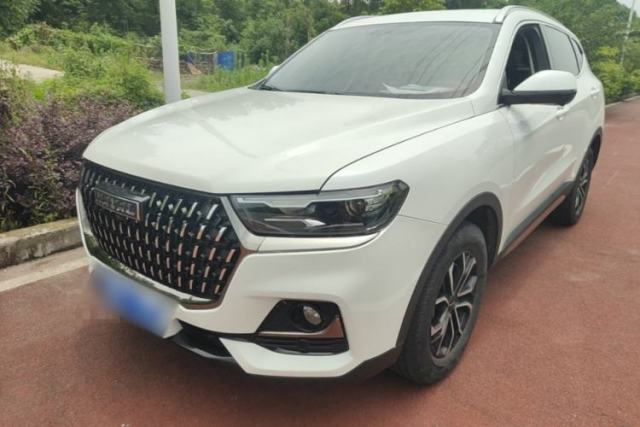 Used Haval H6 2023 National Trend Edition 1.5T Automatic Urban Version