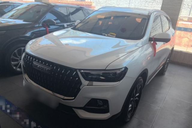 Used Haval H6 2023 National Trend Edition 1.5T Automatic Urban Version