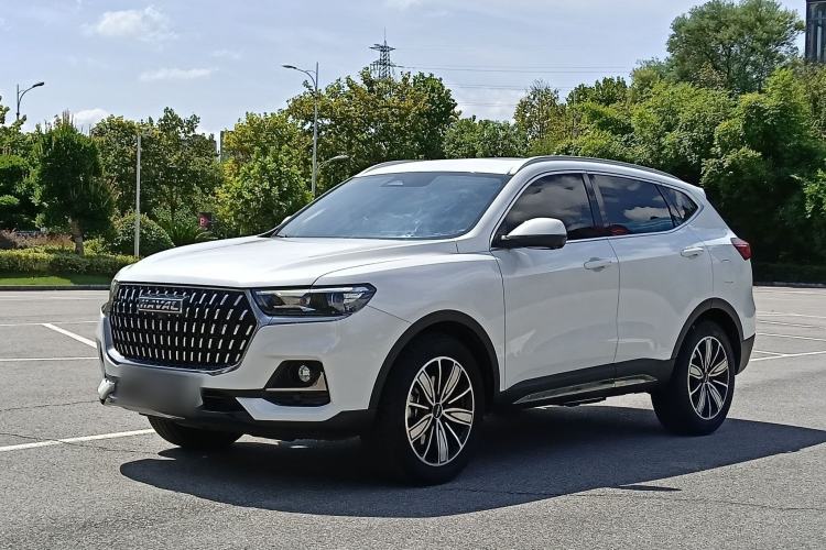 Haval H6 2023 National Trend Edition 1.5T Automatic Champion Version