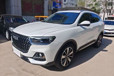 Used Haval H6 2023 National Trend Edition 1.5T Automatic Champion Version