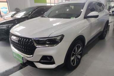 Used Haval H6 2023 National Trend Edition 1.5T Automatic Champion Version