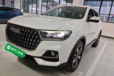 Used Haval H6 2023 National Trend Edition 1.5T Automatic Champion Version