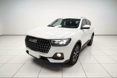 Used Haval H6 2023 National Trend Edition 1.5T Automatic Urban Version