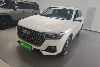 Used Haval H6 2023 National Trend Edition 1.5T Automatic Urban Version