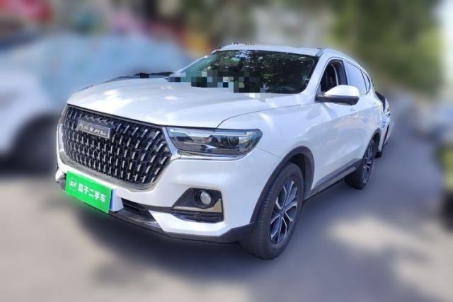 Used Haval H6 2023 National Trend Edition 1.5T Automatic Urban Version