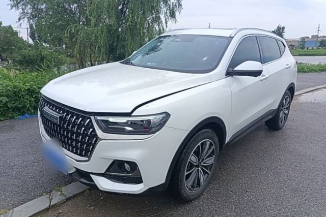 Used Haval H6 2023 National Trend Edition 1.5T Automatic Champion Version