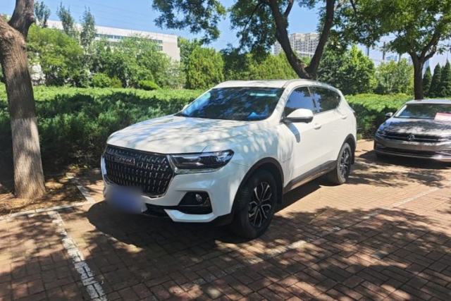 Used Haval H6 2023 National Trend Edition 1.5T Automatic Urban Version