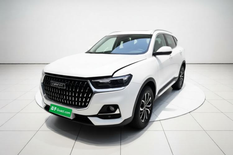 Haval H6 2023 National Trend Edition 1.5T Automatic Urban Version
