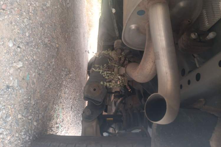 Used Haval H6 2023 National Trend Edition 1.5T Automatic Champion Version Chassis Rear Right