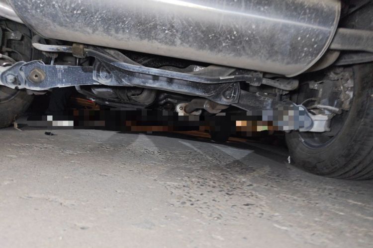 Used Haval H6 2023 National Trend Edition 1.5T Automatic Urban Version Chassis Rear